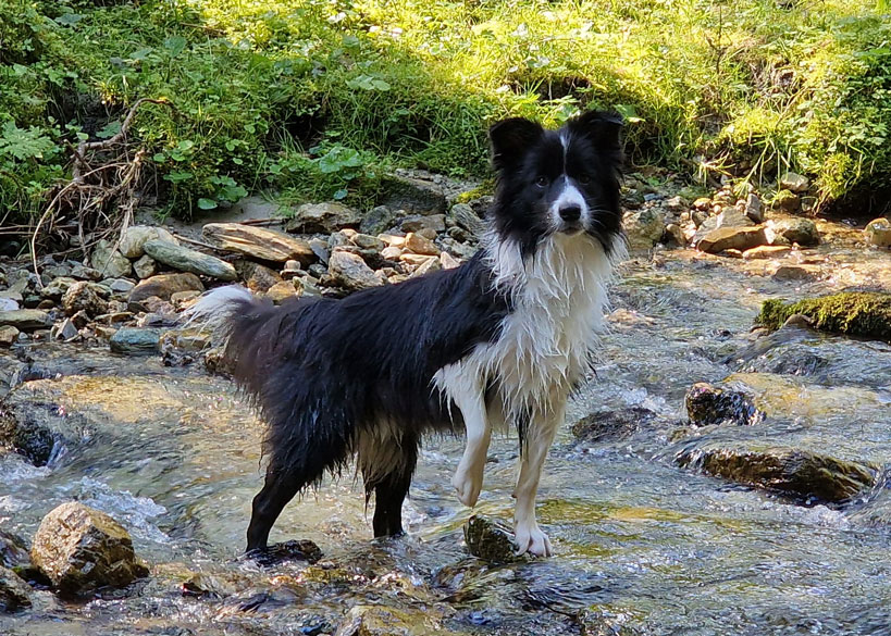 Borderwhatelse Jody Zauchensee Wasser3