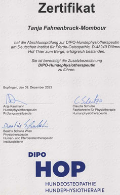 Zertifikat Pysiotherapie